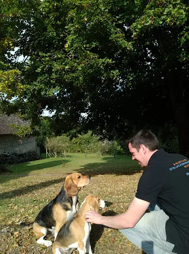 Canidog - Educateur Canin