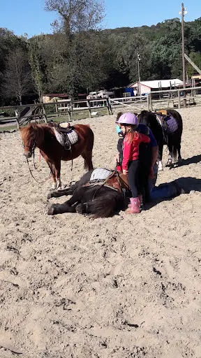 Ranch Pf