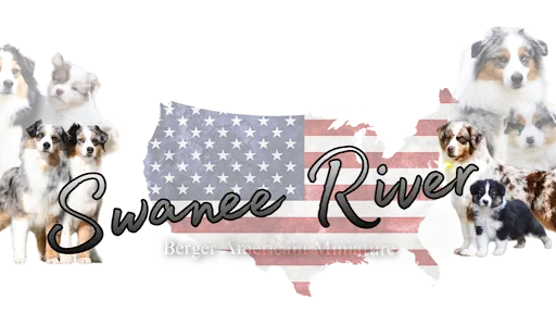 Swanee River