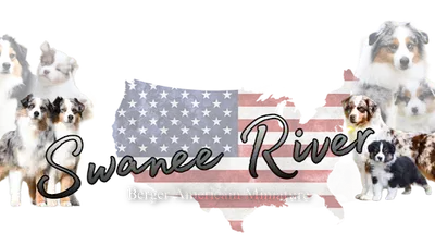 Swanee River