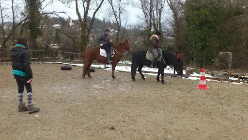 Equisens
