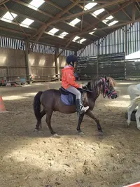Ecurie d'Amequine