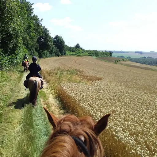 Somme Randonnees A Cheval