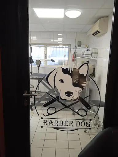 Salon de Toilettage Barber Dog "terranimo"