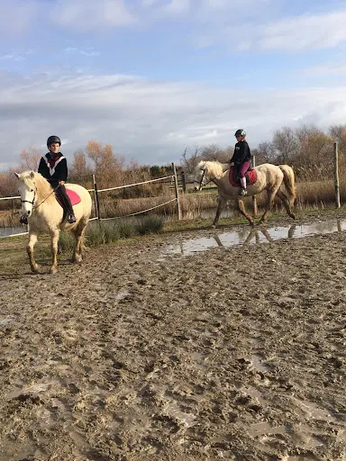 Claire Equitation