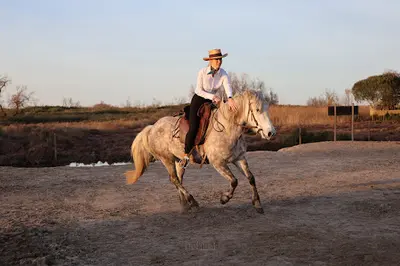 Promenade À Cheval - Écuries la Fadaise - Balade À Poney