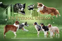 Of Eternal Dreams