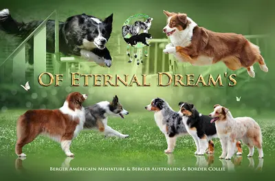 Of Eternal Dreams
