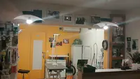 F.b Toilettage