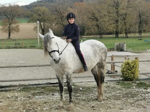 l'Ile Verte Ferme Equestre