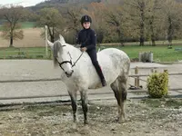 l'Ile Verte Ferme Equestre