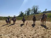 Cheval Nature 64