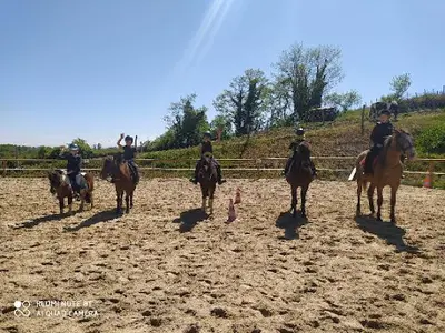Cheval Nature 64