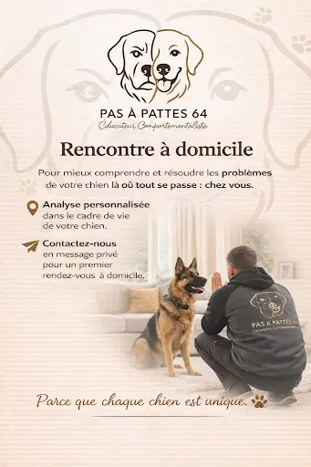 Pas À Pattes 64