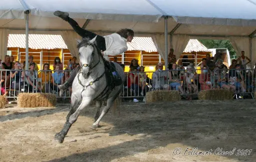 Association Parlons Cheval, Parlons Comminges