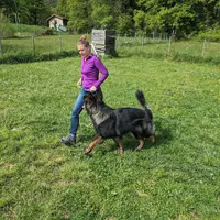 Montjoly Cani Educ