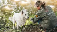 3d Canin Education Canine