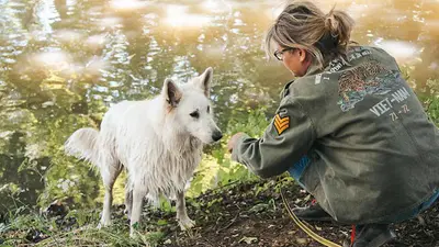 3d Canin Education Canine