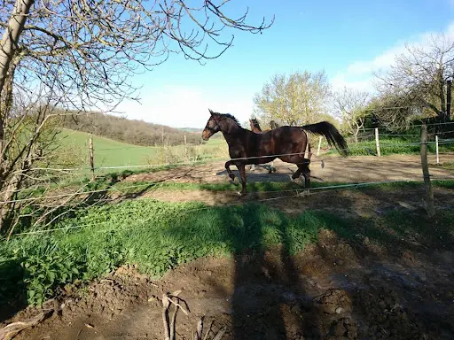 Ecurie de la Ganguise