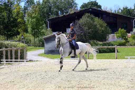 Haras des Sens