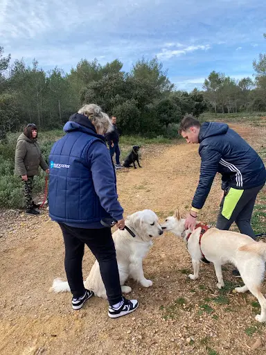 Help Dog Education Éducateur Comportementaliste Canin/ Dog Sitter/parc de Loisirs Canin/agility de Loisirs