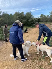 Help Dog Education Éducateur Comportementaliste Canin/ Dog Sitter/parc de Loisirs Canin/agility de Loisirs