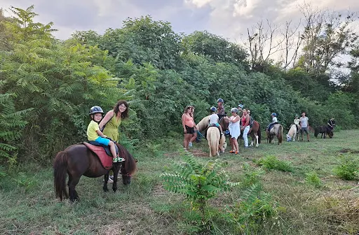 Les Écuries de la Costa Verde