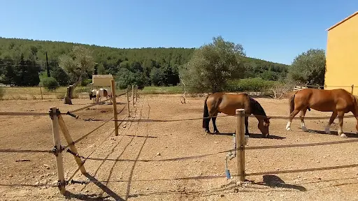 Ecuries de Bacylo