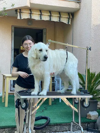 La Belle Patte