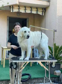 La Belle Patte