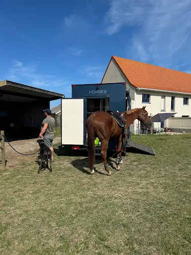 Cap Equitation
