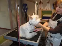 Le Magi Chien d'Oz