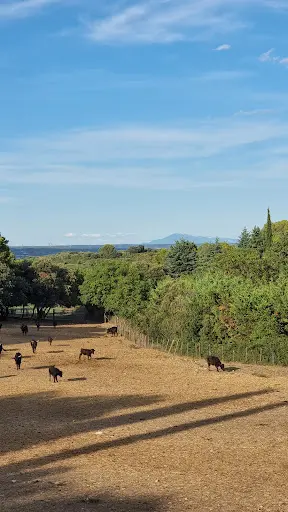 Manade de la Clastre