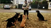 Educvic Educateur Canin
