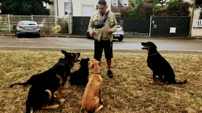 Educvic Educateur Canin