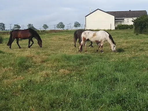Les Prés Secs