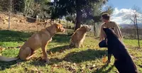 A-realnature | Melanie Müller - Hundecoaching
