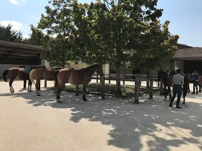 Maison du Cheval