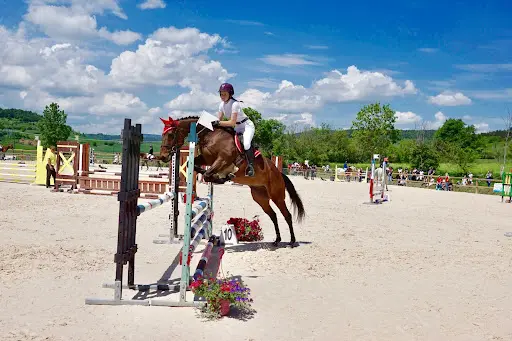 Cepc les Petits Chevaux