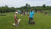 Centre Canin Procyno