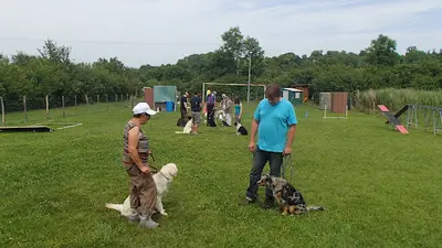Centre Canin Procyno