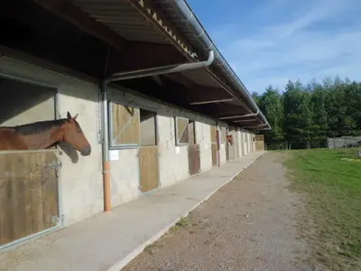 Poney-club des Découvertes