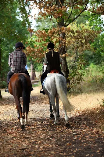 Le Ranch de Sanxay