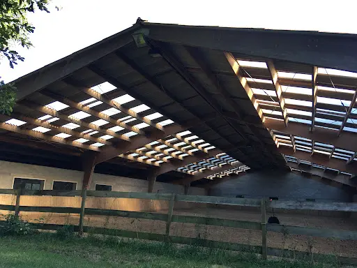 Haras de Musemeou