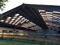 Haras de Musemeou