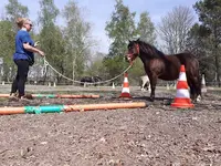 l'Equit de Lulu