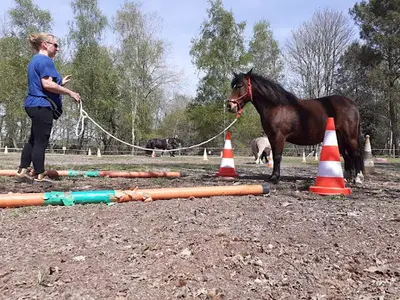 l'Equit de Lulu