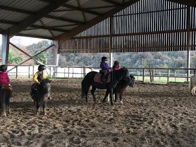 Centre Equestre Olhaldea