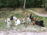 Bon Sens Canin