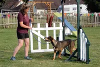 Amberslade Education et Agility Canine